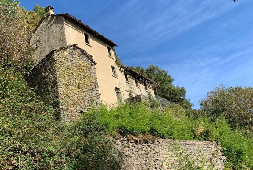 Carcente (12)