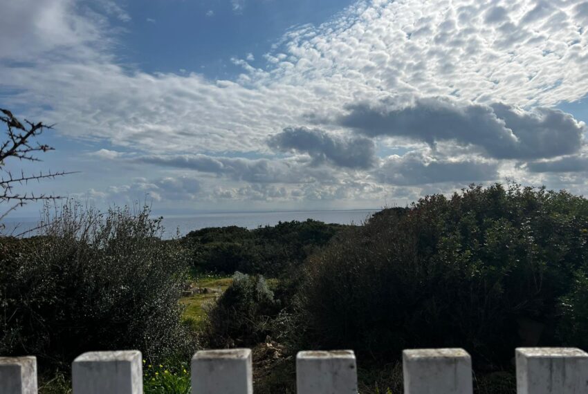 IMG-20250620-WA0066