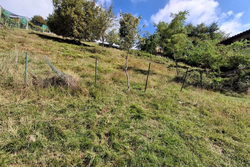 20251001_113125 (Copy)