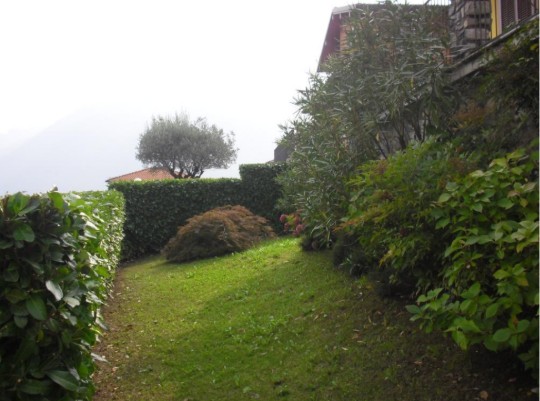 Immagine 2025-11-13 102841