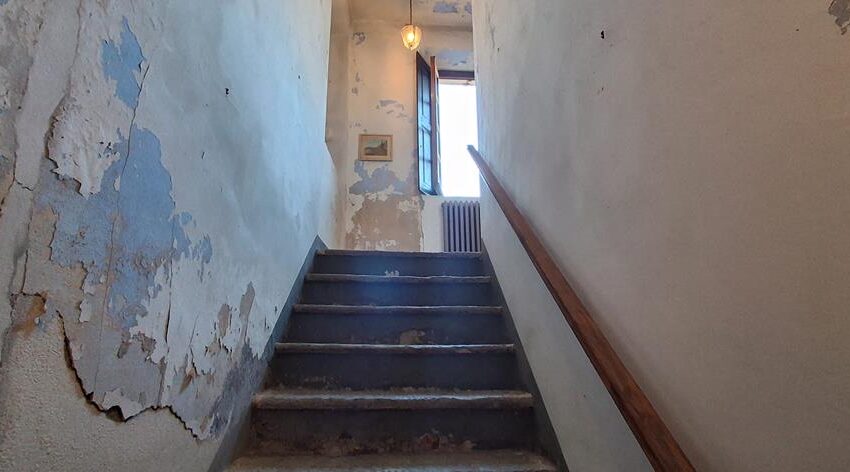 0041231-20260205_121122_Copy (Copy)