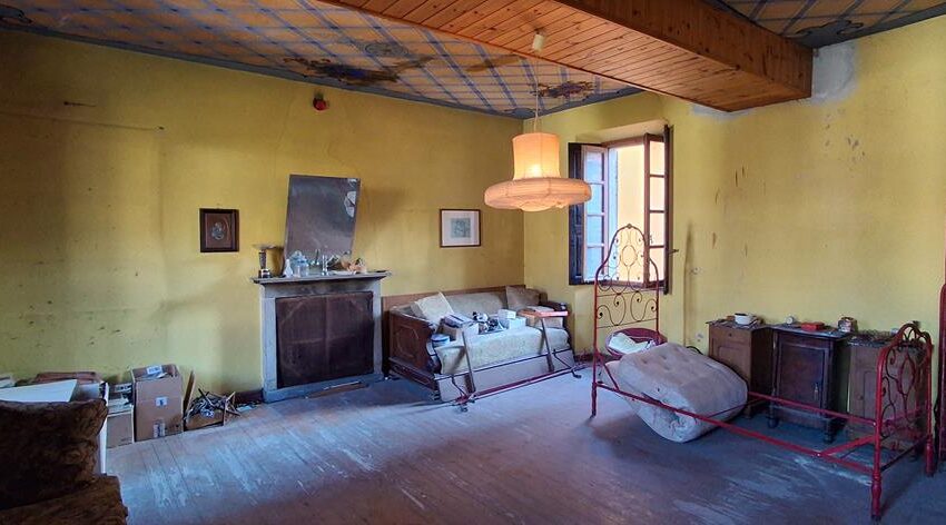 0041233-20260205_121146_Copy (Copy)