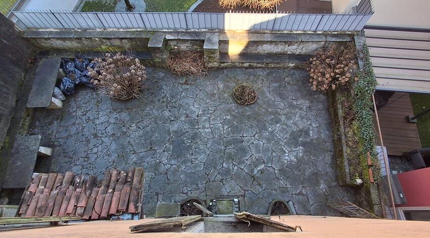 0041241-20260205_121354_Copy (Copy)