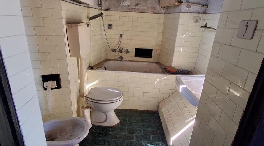 0041244-20260205_121421_Copy (Copy)