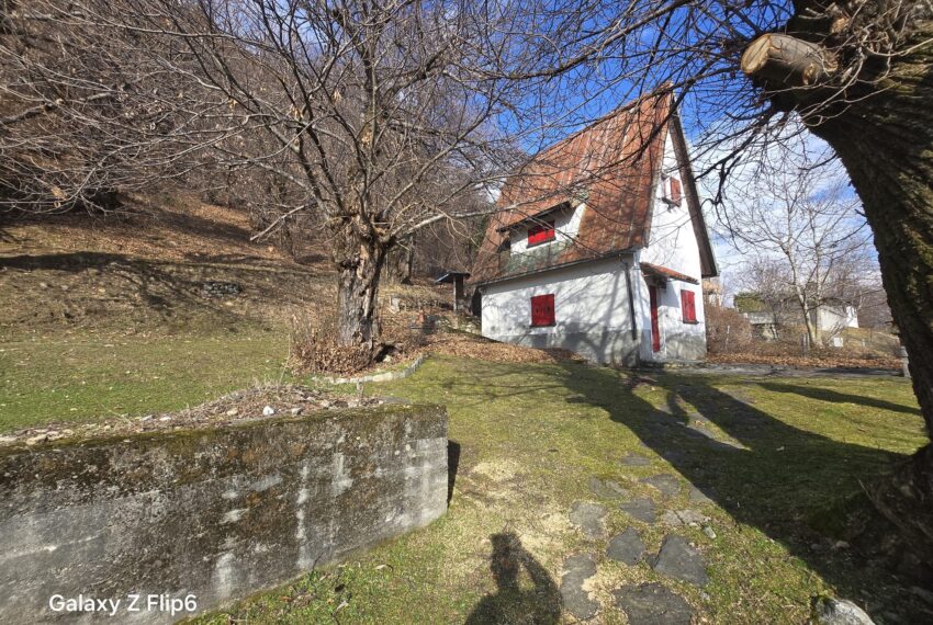 0041257-WhatsApp_Image_2026-02-12_at_16