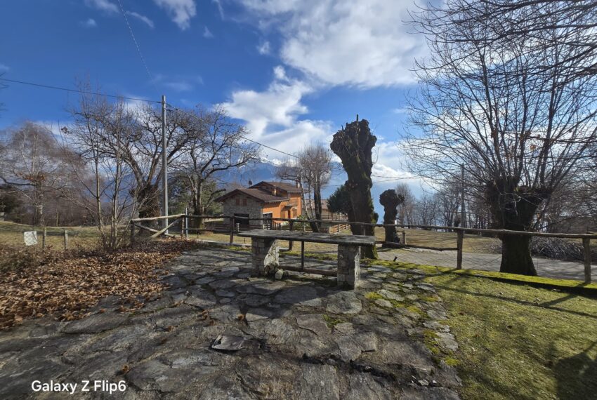 0041258-WhatsApp_Image_2026-02-12_at_16