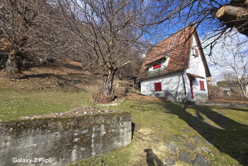 0041262-WhatsApp_Image_2026-02-12_at_16