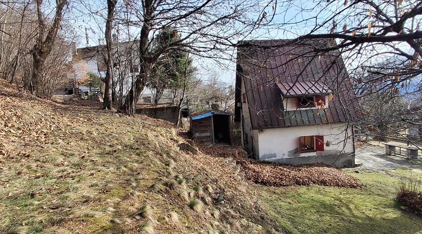 0041516-20260217_110200_Copy