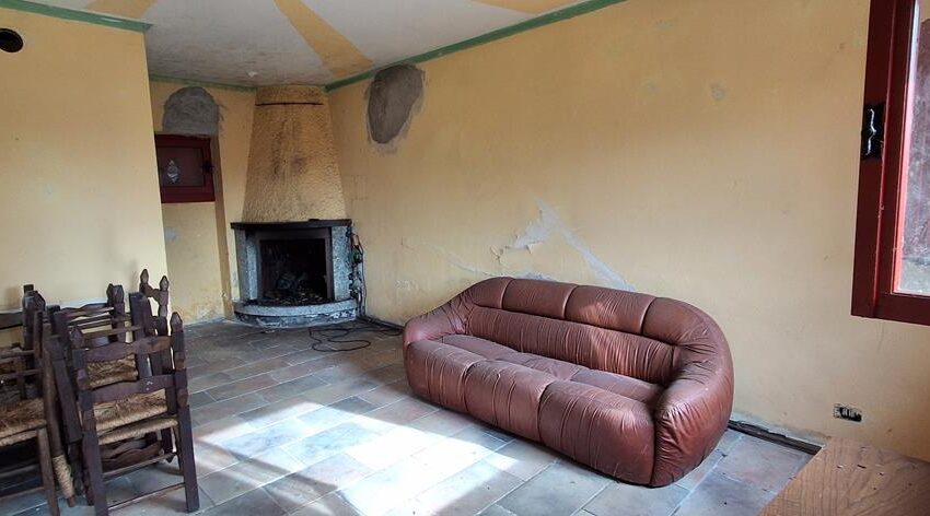 0041520-20260217_105636_Copy