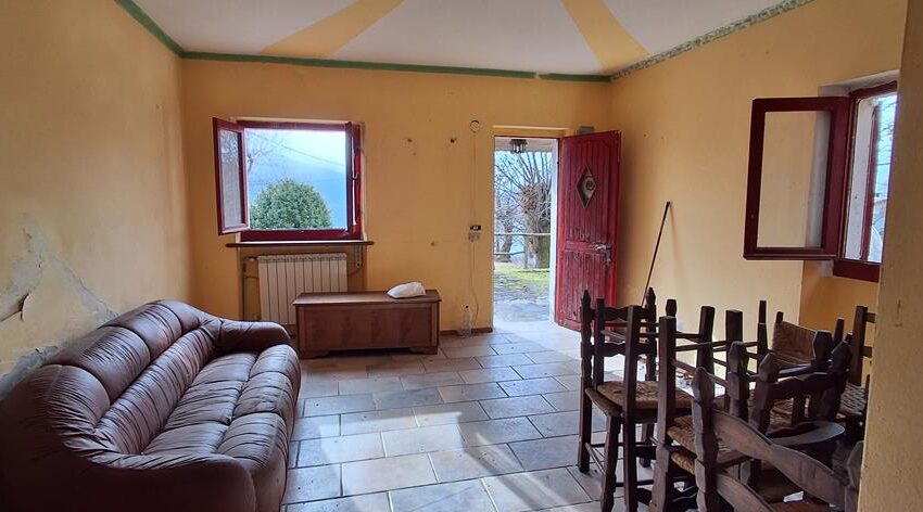 0041521-20260217_105656_Copy