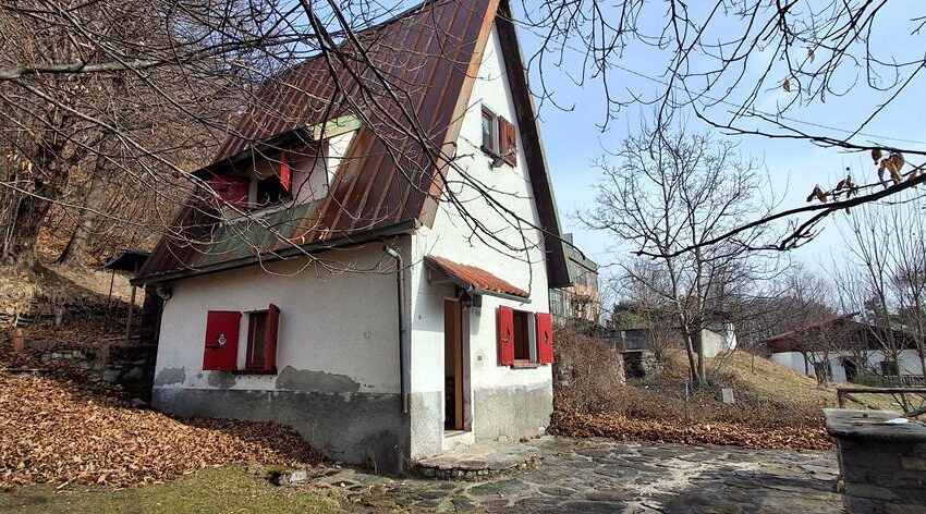 0041527-20260217_105935_Copy