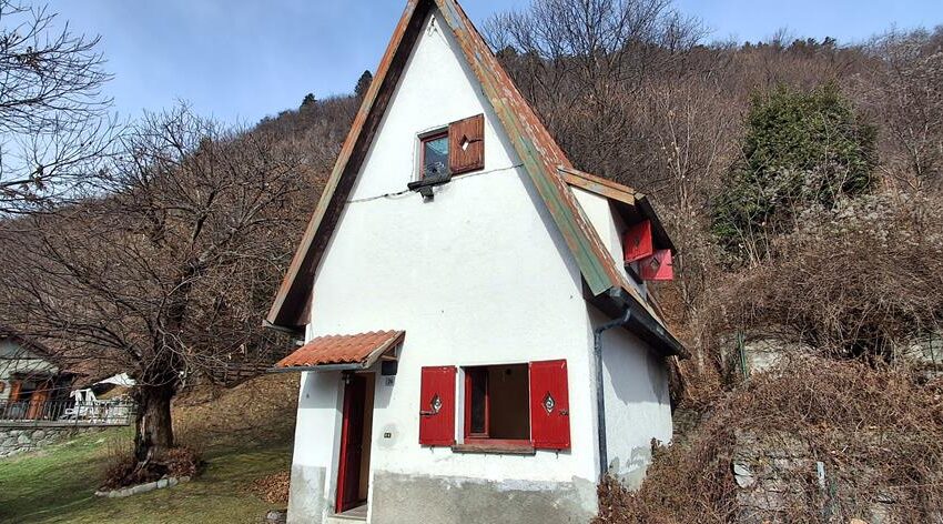 0041528-20260217_105955_Copy