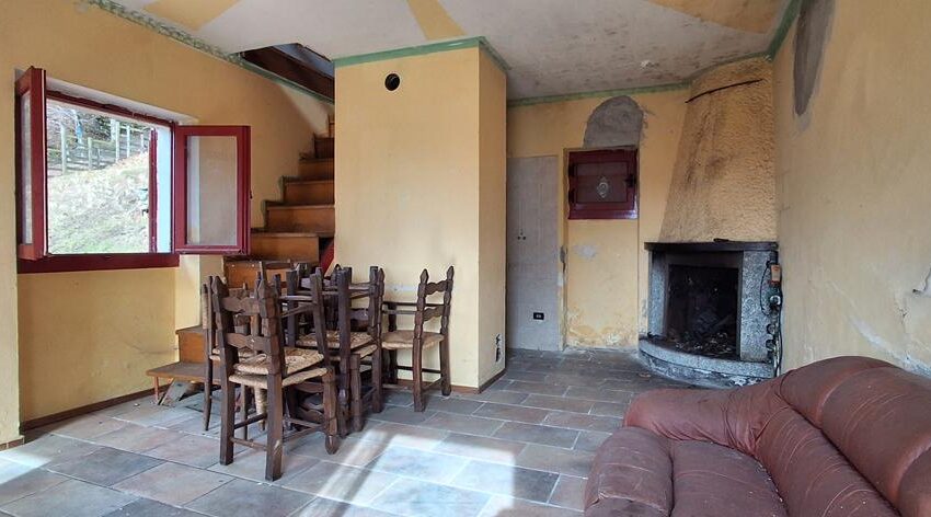 20260217_105648 (Copy)