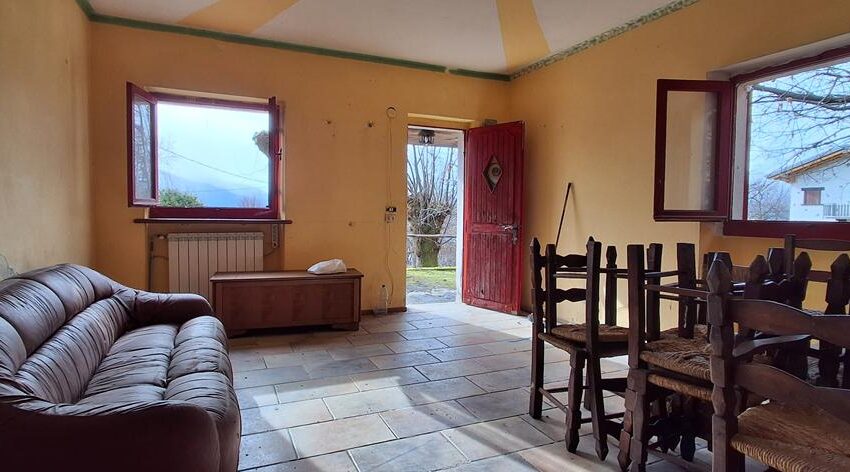 20260217_105700 (Copy)