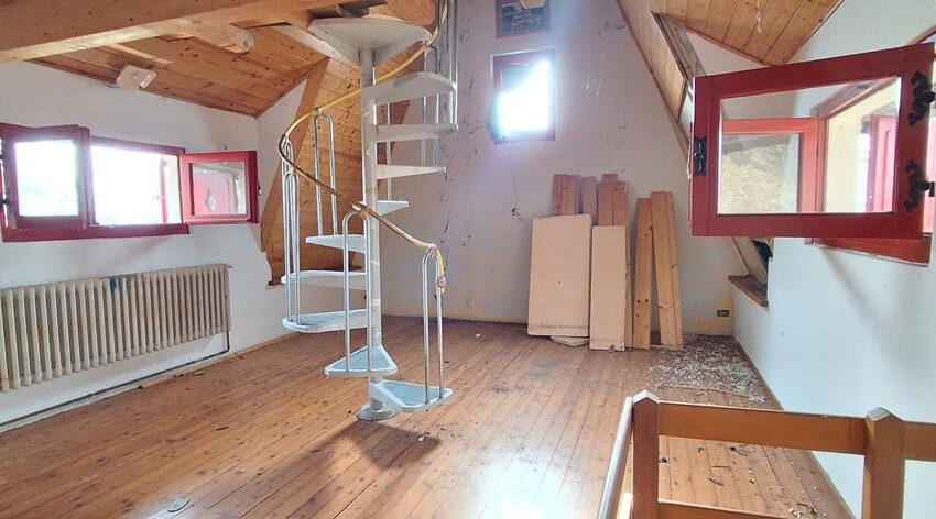 20260217_105806 (Copy)