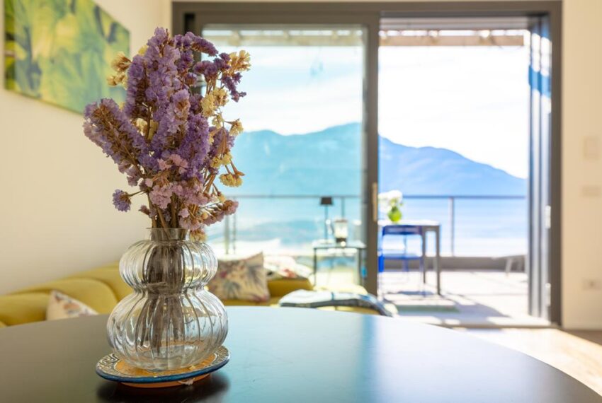 Vercana -8474 (Copy)