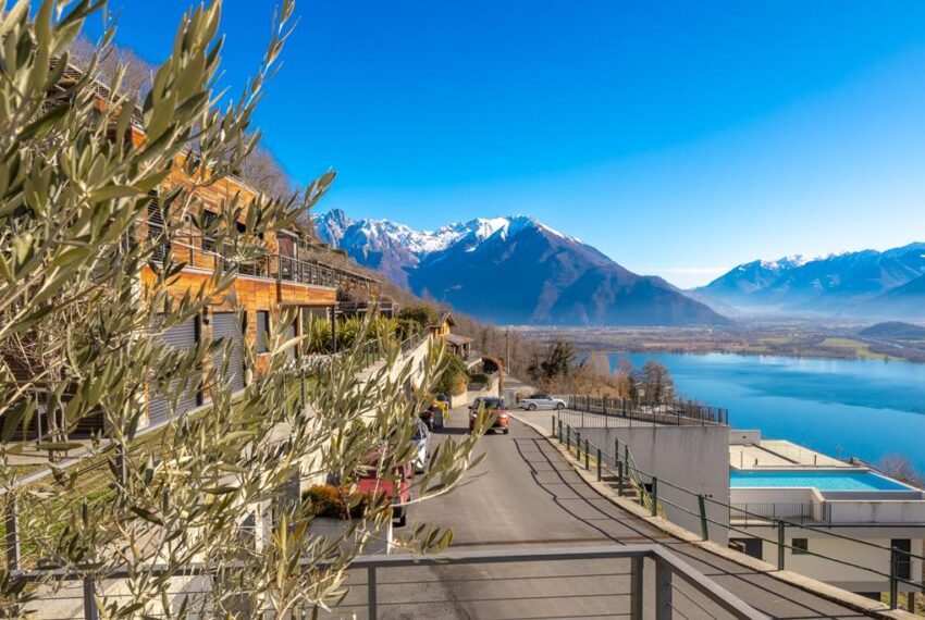 Vercana -8478 (Copy)