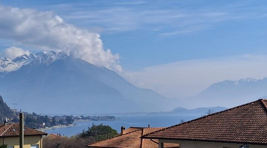 0041920-20260312_111033_Copy