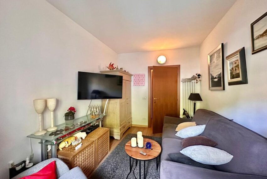 231-1771065776-xl (Copy)