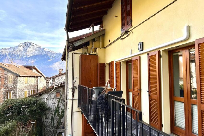 231-1771065941-xl (Copy)