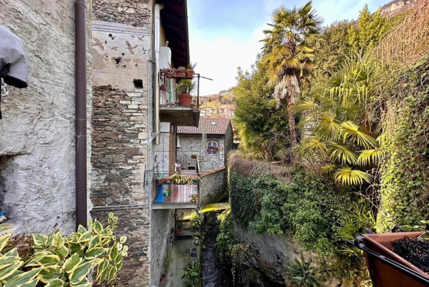 231-1771066061-xl (Copy)