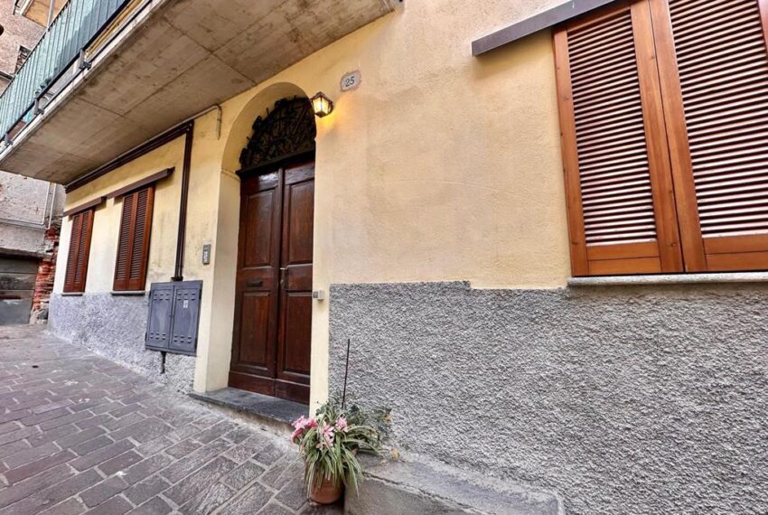 231-1771066116-xl (Copy)