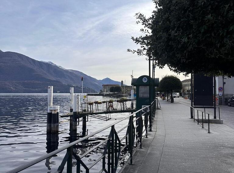 231-1771066271-xl (Copy)