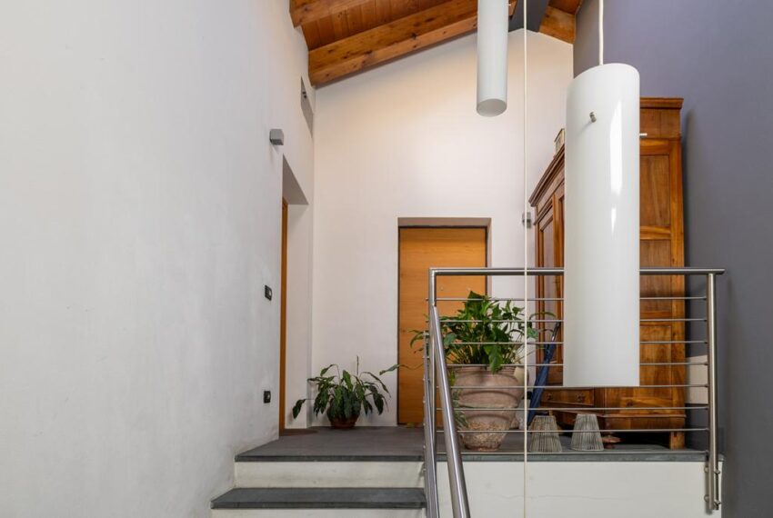 Dongo IMG_1214 (Copy)