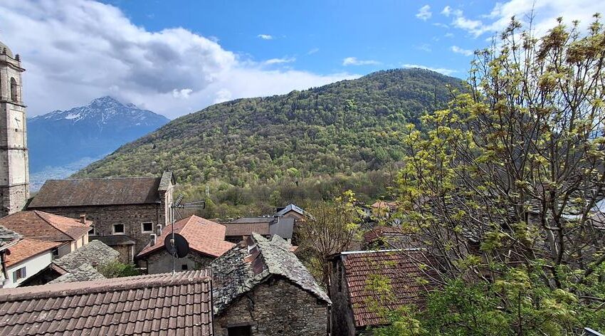 20260415_152613 (Copy)