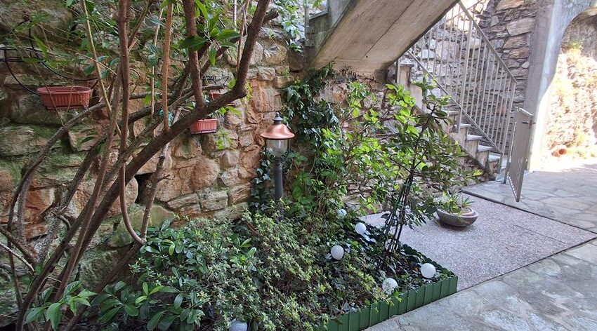 20260427_110932 (Copy)