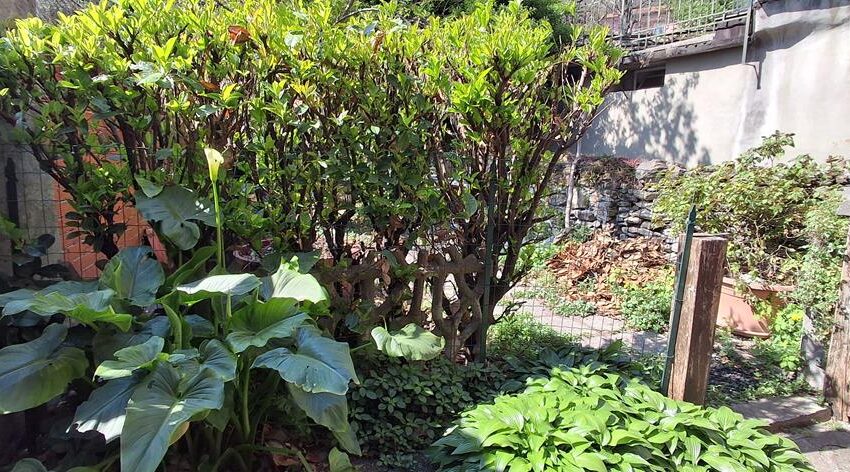 San Siro casa tipica di paese con vista lago (5)