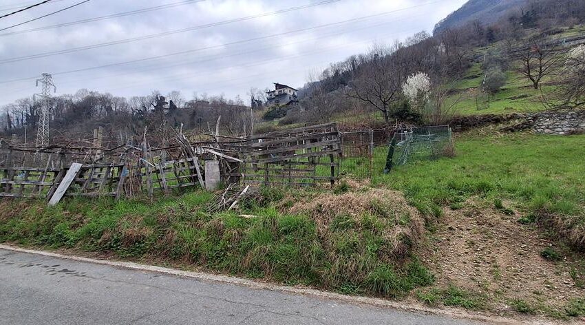 Gravedona ed Uniti - Lake Como (7)