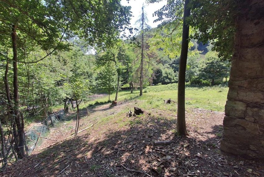 Menaggio rustico con terreno (10)