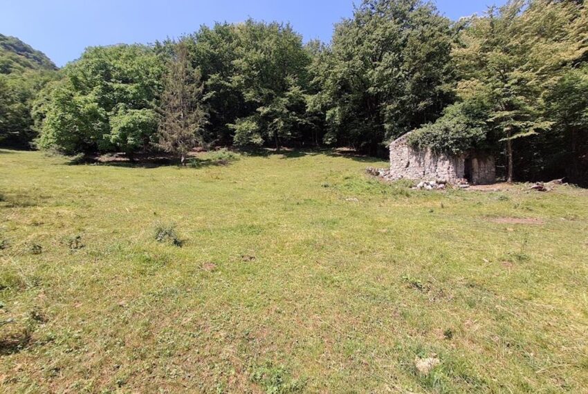 Menaggio rustico con terreno (7)